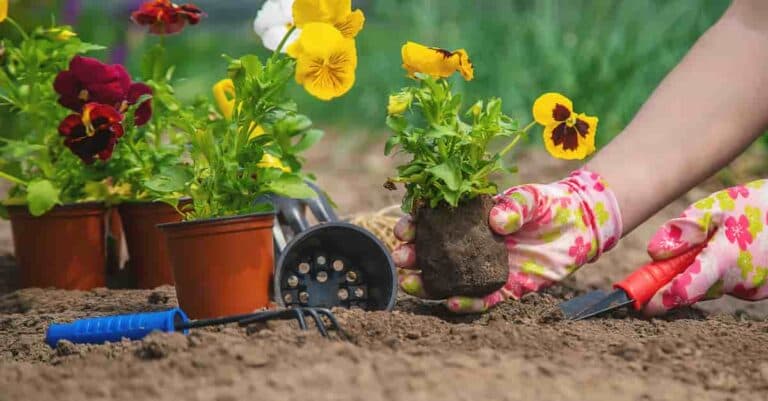Flourish With These 9 Garden Maintenance Tips