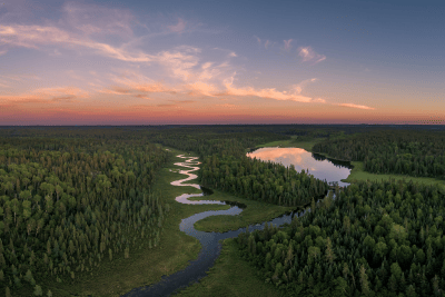 morison insurance road trip boreal forest